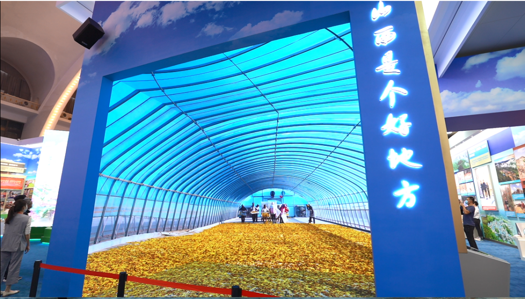 壹定发(中国游)最新官方网站