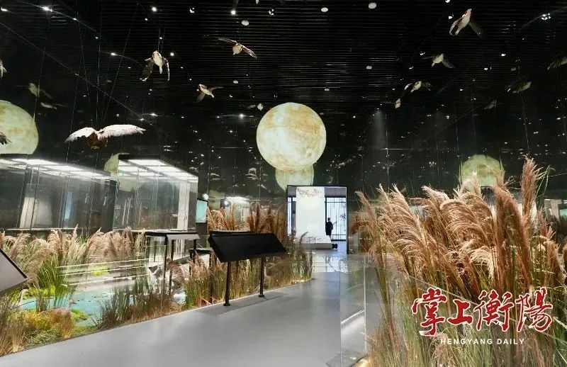 壹定发(中国游)最新官方网站