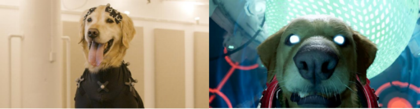 壹定发(中国游)最新官方网站