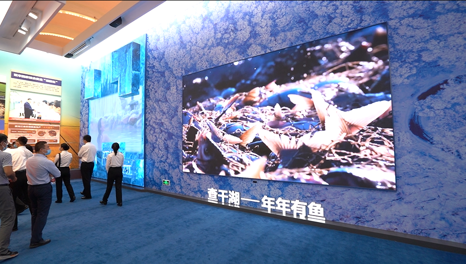 壹定发(中国游)最新官方网站