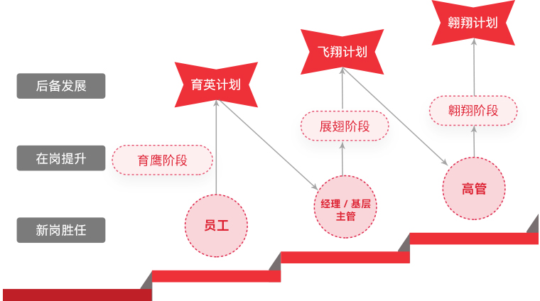 壹定发 "雄鹰妄想"人才梯队作育
